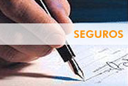 Seguros